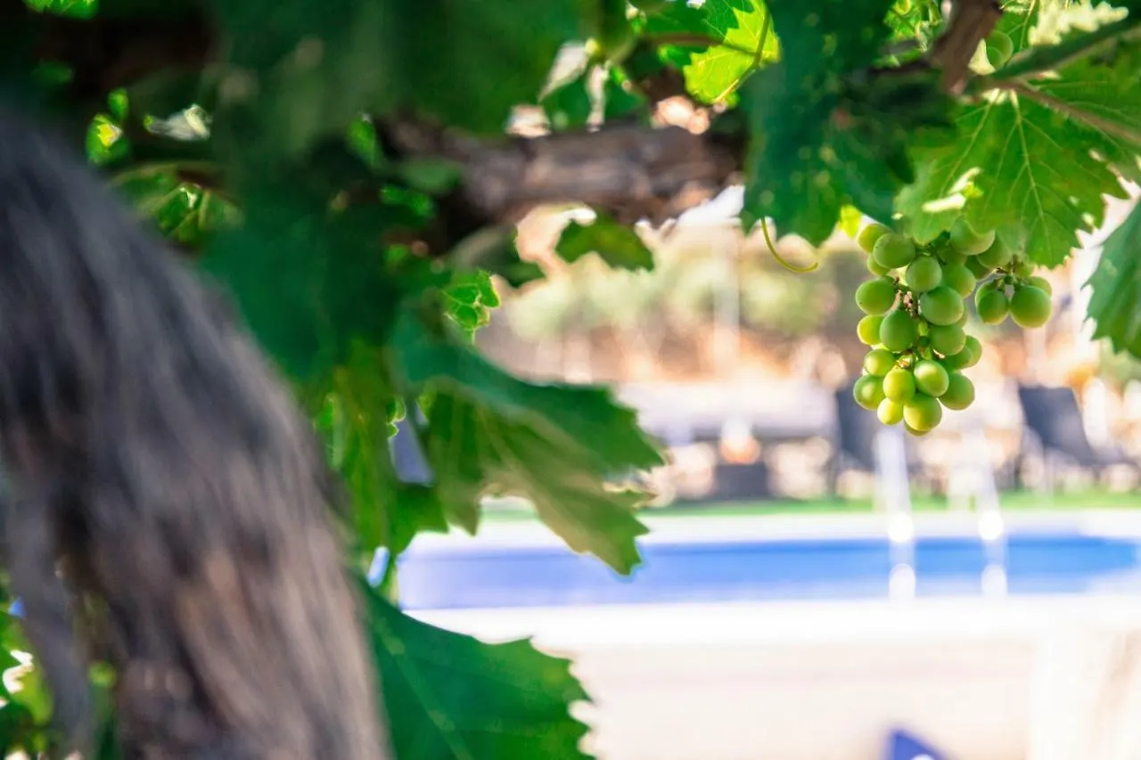 Mennulavirdi Country House Agrigento
